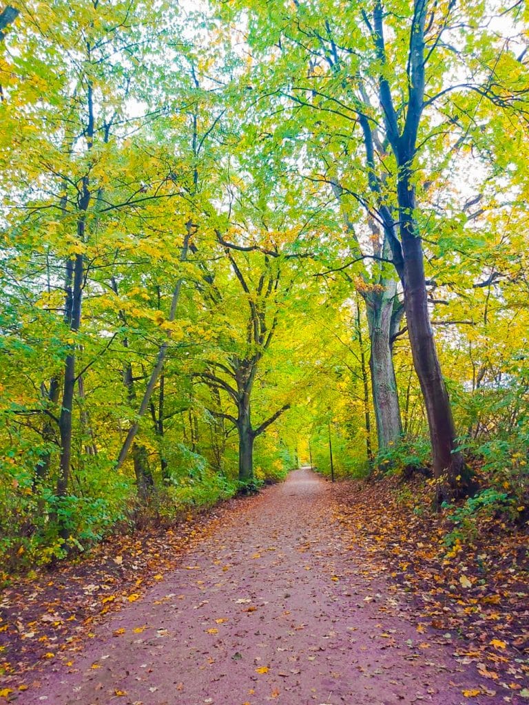 MicrosoftTeams-image (11)