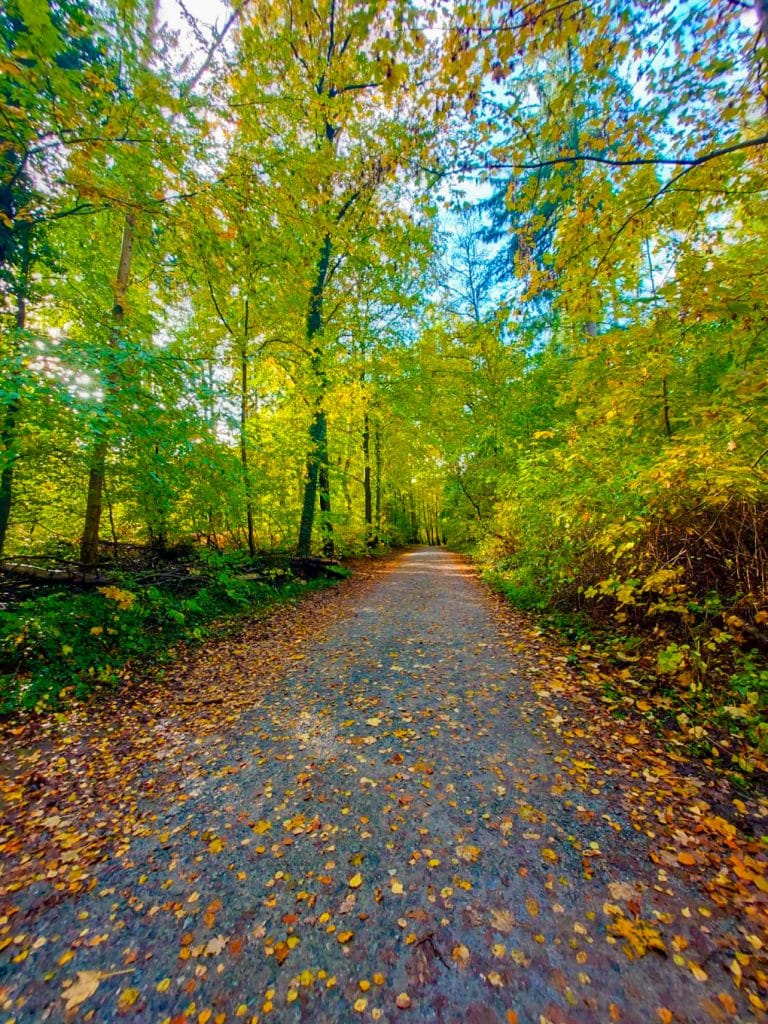 MicrosoftTeams-image (22)