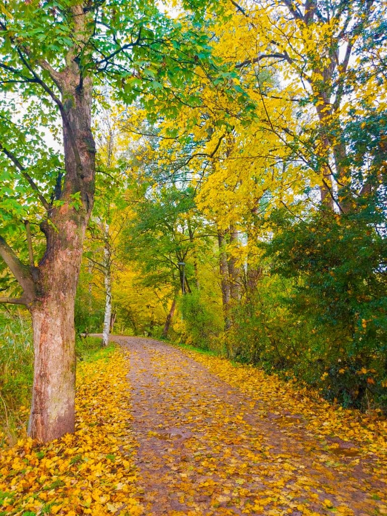 MicrosoftTeams-image (9)